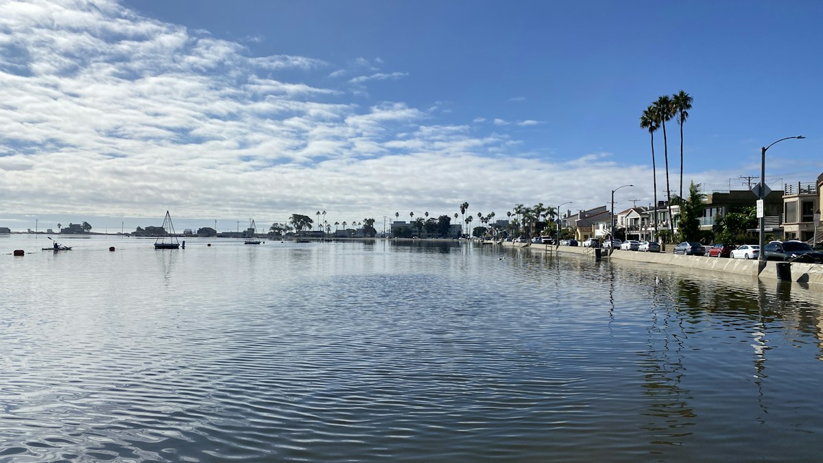 Waterfront homes and palm trees in Long Beach