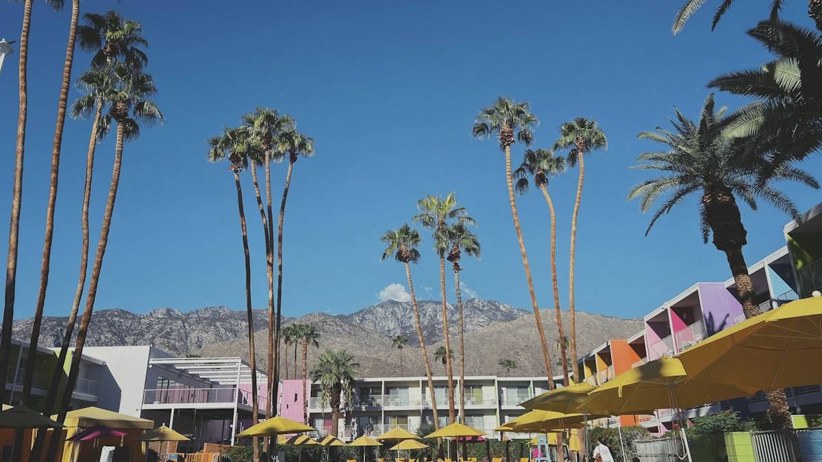 Palm trees and the San Jacinto Mountains in Palm Springs